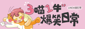 贈書《3喵1牛，爆笑日常／Linda貓記事》抽獎活動