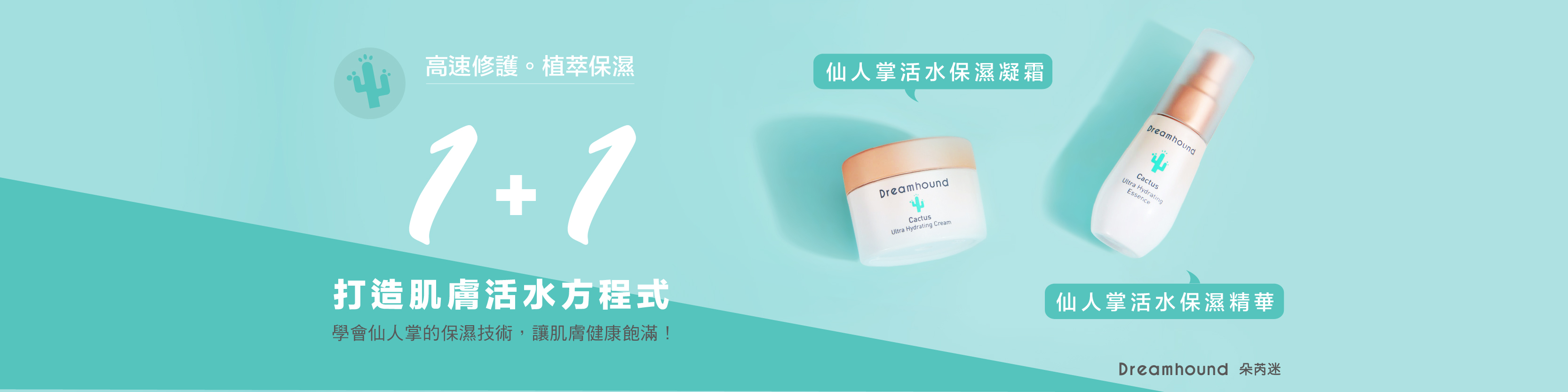 妞新聞ＸDreamhound | 掌握仙人掌的秘密 擁有活水般的肌膚