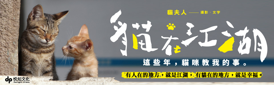 贈書《貓在江湖：這些年，貓咪教我的事》抽獎活動
