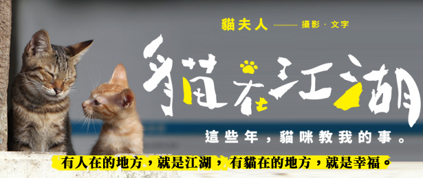 贈書《貓在江湖：這些年，貓咪教我的事》抽獎活動