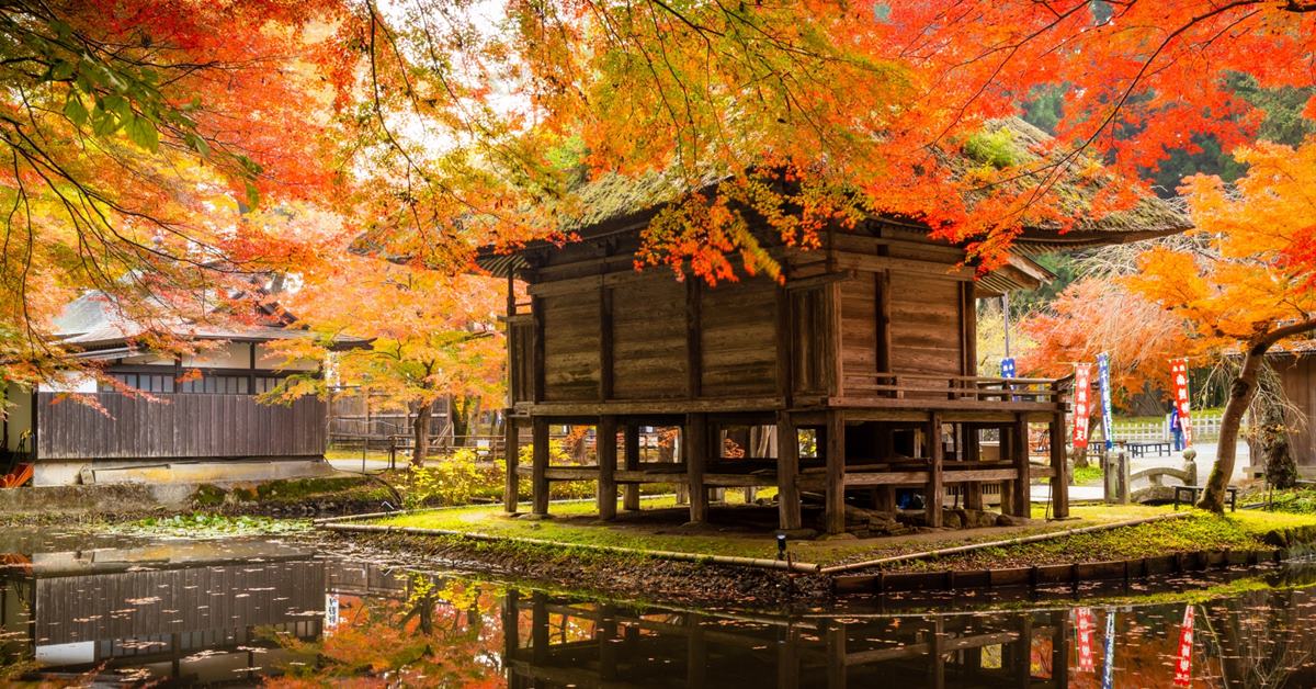 台灣虎航直飛岩手花卷！「金秋花卷」慢旅提案：紅葉、溫泉、美食一次收藏的日本東北秋天旅行  台灣虎航、岩手花卷、日本東北旅遊、紅葉季、花卷溫泉、猊鼻溪、高清水展望台、遠野物語、岩手和牛 