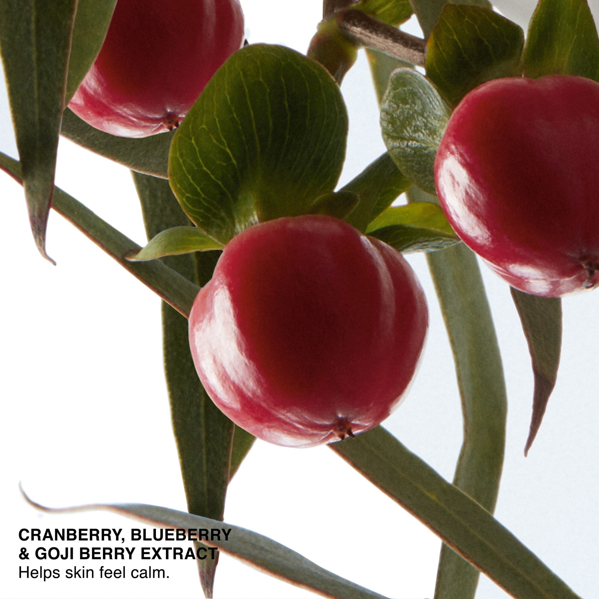 卸妝就像做奢華SPA！BOBBI BROWN沁透系列精萃奢華卸妝全新上市