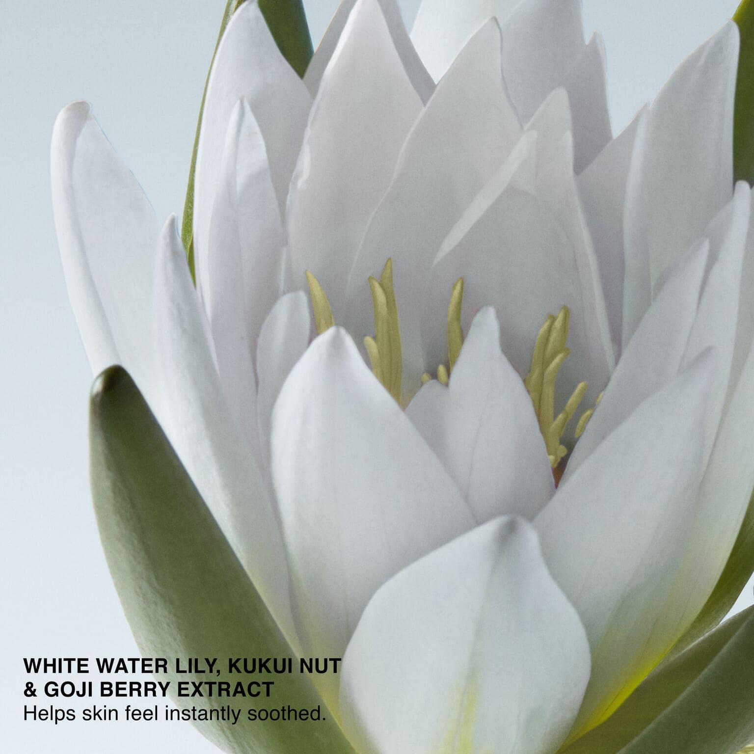 卸妝就像做奢華SPA！BOBBI BROWN沁透系列精萃奢華卸妝全新上市