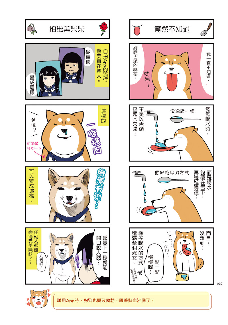 日本超人氣跩犬漫畫中文化啦！小眼睛柴犬妹妹的呆萌日常療癒百萬網友的心 | 柴犬、毛小孩、狗奴、寵物、漫畫 | 生活發現 | 妞新聞 niusnews