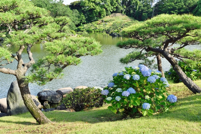 來東京也可以很古典，到東京都內的日本庭園散步去！