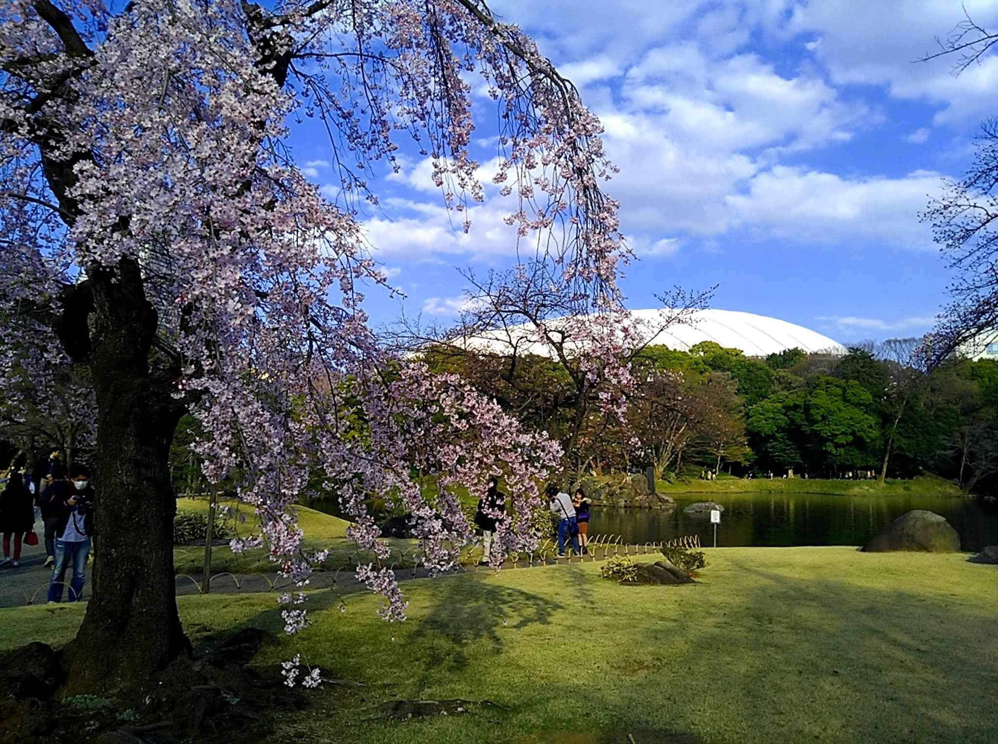 來東京也可以很古典，到東京都內的日本庭園散步去！