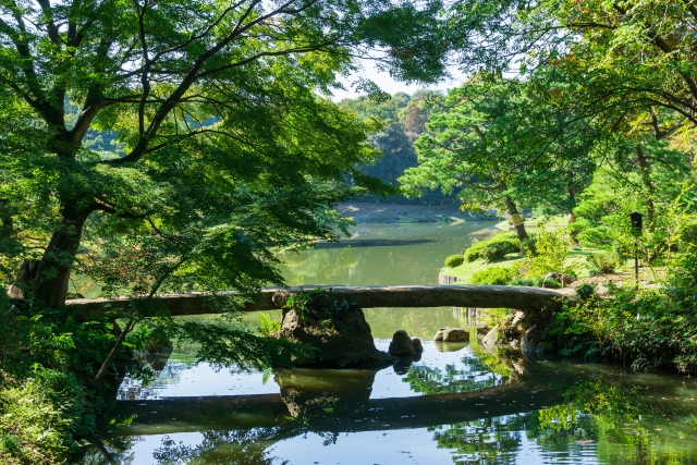 來東京也可以很古典，到東京都內的日本庭園散步去！