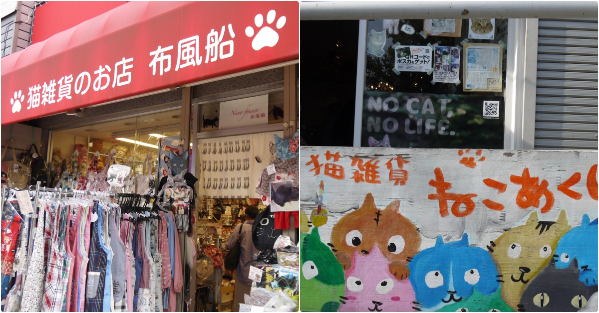 貓咪、美食、懷舊風，到谷根千來趟東京下町散步吧！