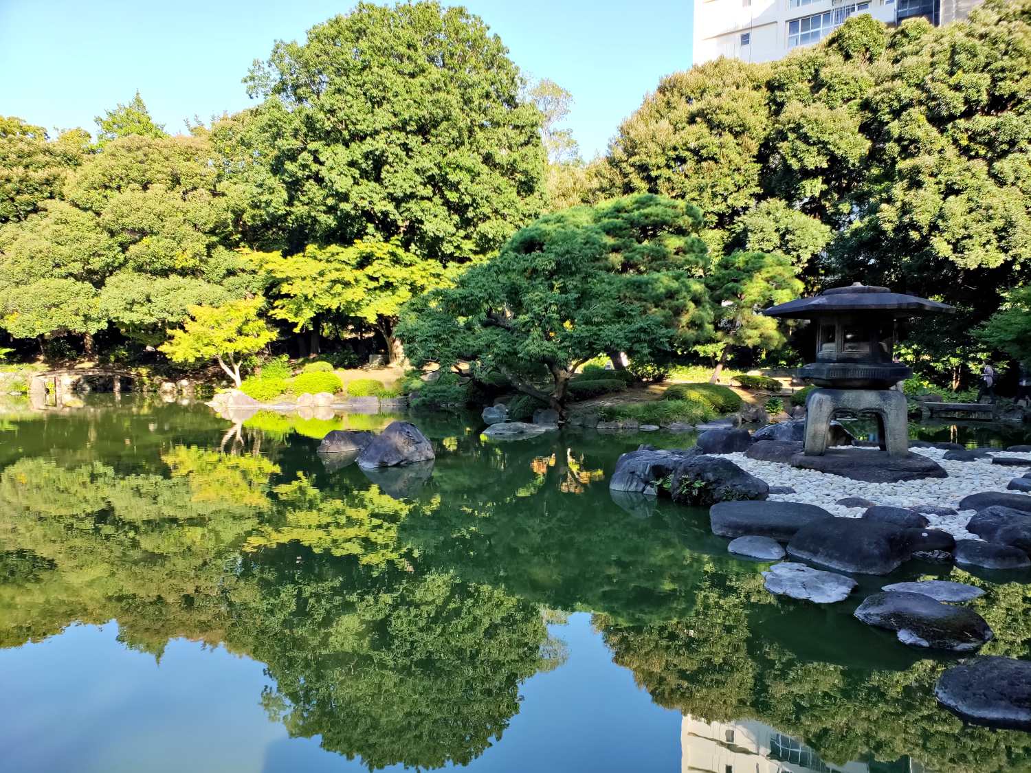 來東京感受秋天的魅力吧 你所不能錯過的秋天散步精選景點 東京旅遊 秋季散步 東京賞楓 玫瑰園 日式庭園 愛玩妞 妞新聞