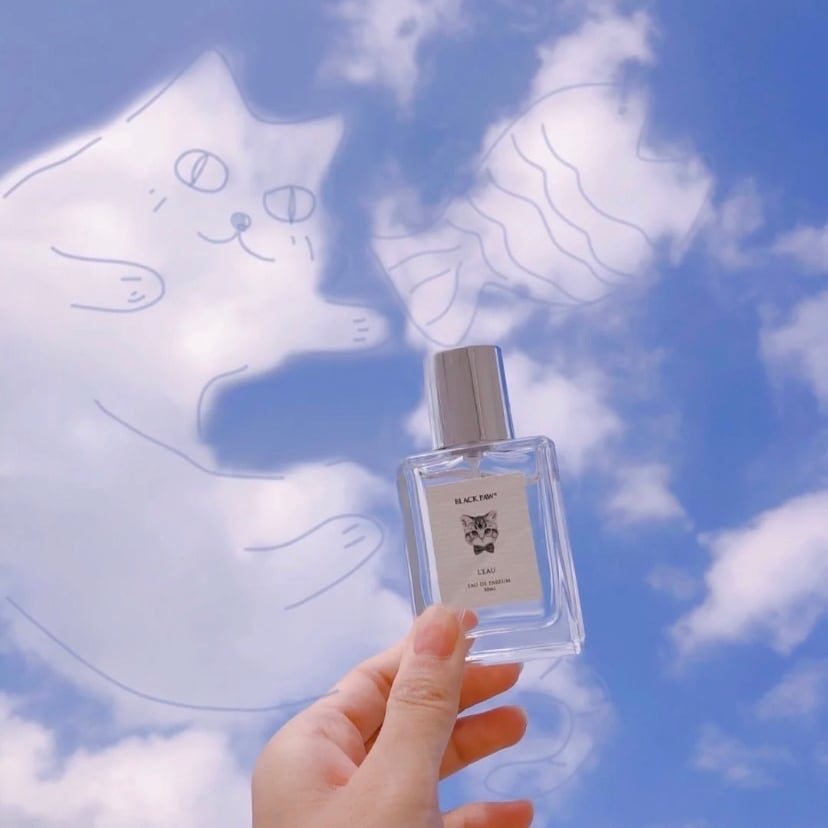 貓咪是什麼味道？4款超人氣「貓味香水」推薦，奶油爆米花、烤麵包香都在這！