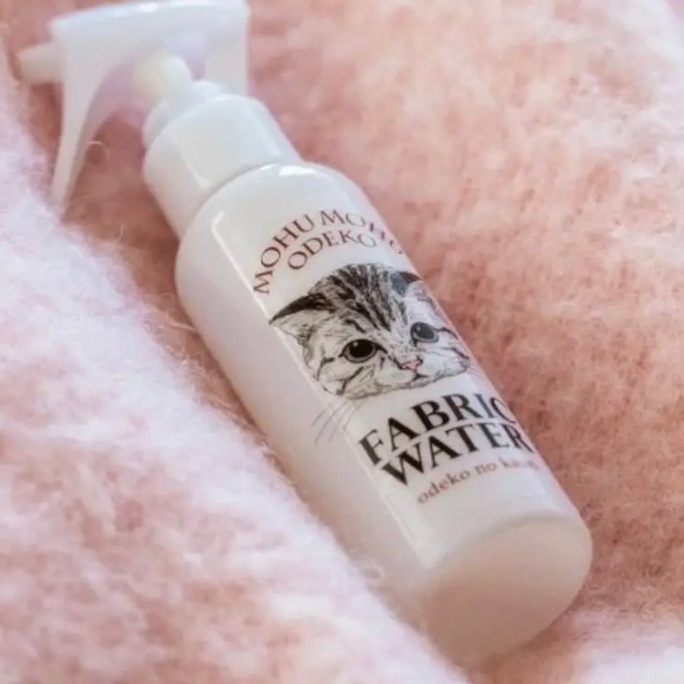 貓咪是什麼味道？4款超人氣「貓味香水」推薦，奶油爆米花、烤麵包香都在這！