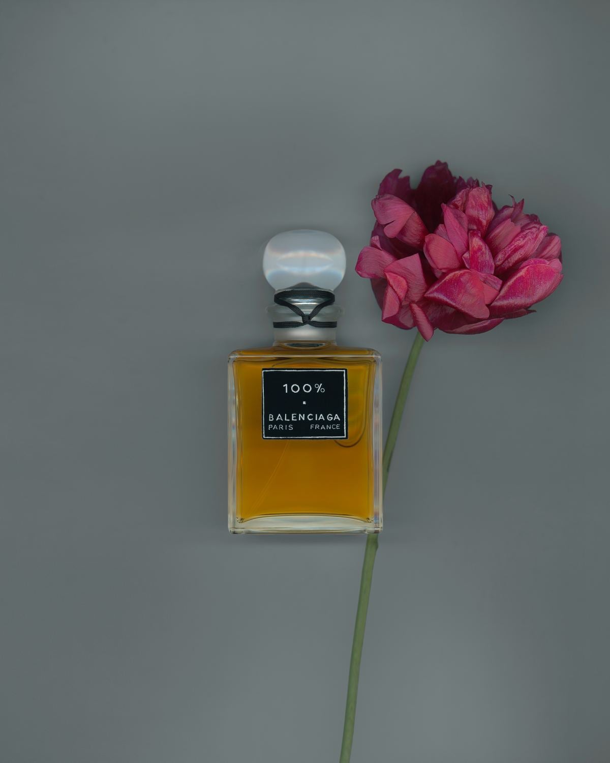 2020「情人節約會」愛情電影推薦！「甜茶」提摩西夏勒梅陪你漫步雨天紐約！