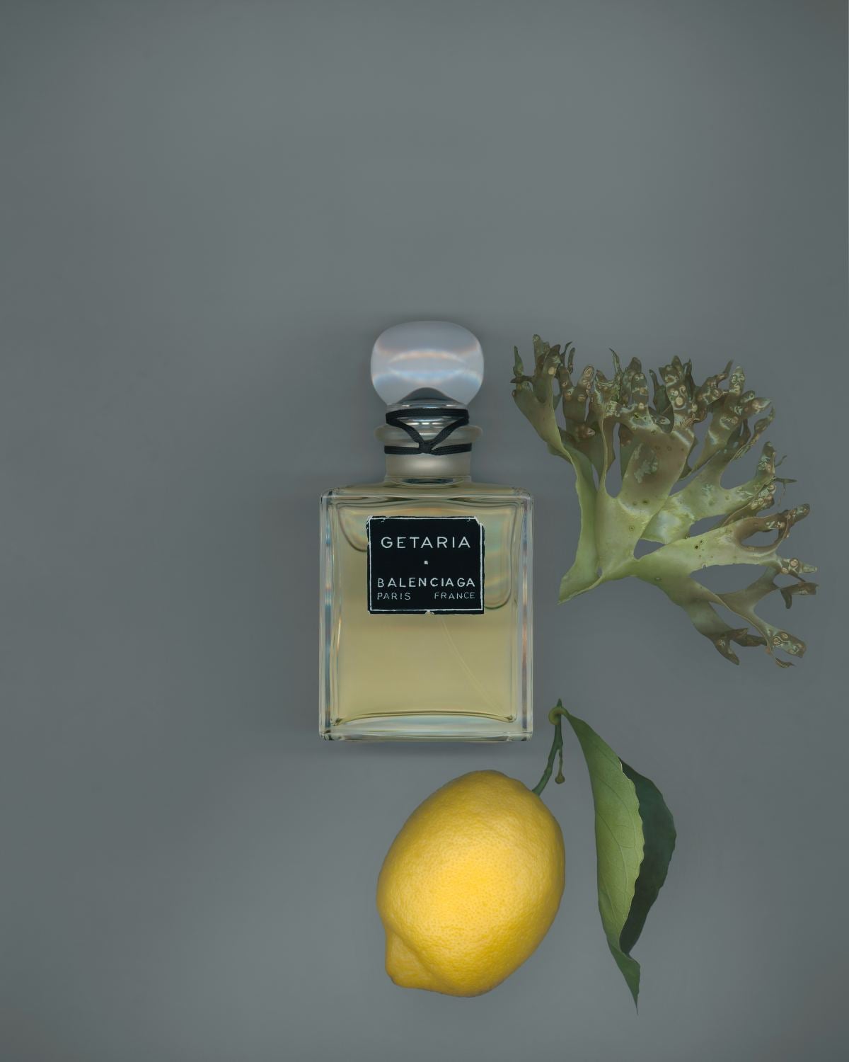 2020「情人節約會」愛情電影推薦！「甜茶」提摩西夏勒梅陪你漫步雨天紐約！