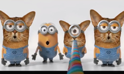 一波未平一波又起！小小兵搗蛋影片合輯  小小兵、搗蛋、影片、合輯、可愛、香蕉 