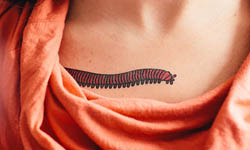 跟插畫玩個遊戲！繽紛感童趣紋身貼 刺青、插畫、童趣、紋身、紐約