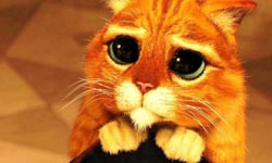 都要搞不清楚誰是主角了！超搶戲的動畫配角 動畫、配角、搶戲、電影