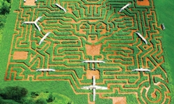 你走得出去嗎？找不到出口的迷宮花園 迷宮、花園、花博