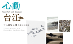 文青就是腳勤：展覽不只在台北 京‧采花東、娃娃的奇幻旅程、2013搖滾臺中、心動台江、藝術