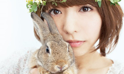 進擊的巨人片尾曲原唱就是她！外貌美聲兼具日本女聲優 喜多村英梨、日笠陽子、壽美菜子、高垣彩陽、豊崎愛生