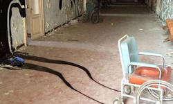 大白天也鬧鬼！廢棄醫院的鬼魂壁畫 鬼影、壁畫、Herbert Baglione、藝術、巴西、義大利、巴黎、西班牙