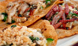 這吃了沒問題嗎？世界可怕食物集錦 可怕、食物、噁心