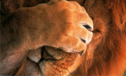 這樣絕對拒絕往來！12星座男生的NG女孩大公開 星座、女孩、開運注意報、戀愛、愛情