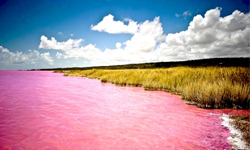 夢境裡的湖？ 宛如玫瑰奶昔的塞內加爾粉紅湖 Lake Retba 、塞內加爾、粉紅湖