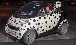 真人版庫伊拉？蒐集狂的異想世界 搜集、收藏、皮卡丘、黃色小鴨