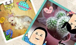 喜感表情貼貼樂！插畫風相機Lu's Camera      Lu's Camera、插畫、相機、貼圖 