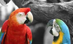 08/07免費與特價App特輯    限時免費、iPhone、Windows Phone