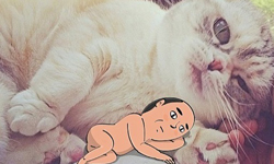 騷擾寵物就是他最大的樂趣！韓國的猥褻老伯插畫 寵物、狗狗、貓咪、韓國、老伯