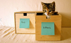 怦然心動的整理魔法？貓咪收納大法教你收服貓咪       貓咪、收納、整理、收服