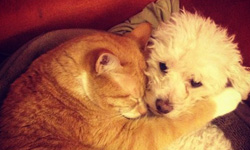 請保護我！世界各地護身小物集錦    神秘、護身符