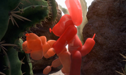 氣球貴賓犬大跳探戈？《Tumbleweed Tango》的舞蹈綺麗世界 Tumbleweed Tango、Tumbleweed Tango、動畫、狗、貴賓