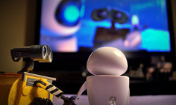 帶著瓦力散步去！以瓦力公仔當麻豆的攝影  Meddy Garne、瓦力、攝影