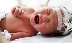 剛出生就走了回鬼門關　馬桶水管救嬰記 新生兒、嬰兒、嬰孩、寶寶、男嬰