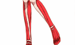 「進擊的絲襪」讓你不用剝皮也能筋肉外露 獵奇、詭異、漫畫、絲襪、進擊