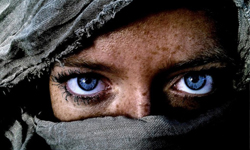 真的都是用手機拍的！2013年iPhone攝影大獎照片合輯 2013、iPhone、攝影、照片、合輯