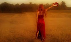 即使看不見臉也很唯美　文青系攝影集 攝影、Patty Maher、照片、童話、奇幻