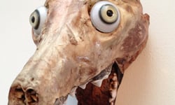 甚麼都賣甚麼都不奇怪　網拍上的怪東西 網拍、詭異、恐怖、噁心、動物