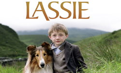 9月2日 電視看甚麼：跟著動物一起狂歡吧！ 電視、節目表、電視節目表、電影、HBO