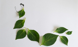 動手玩出小創意！用葉子排出時尚禮服 葉子、禮服、Tang Chiew Ling、藝術