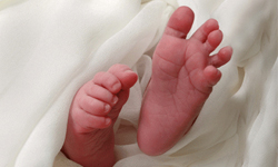 媽媽我回來了！死嬰復活事件 死嬰、復活、事件、巴西、阿根廷