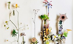 美得不真實！立體花草標本重現生命力 Anne ten Donkelaar、標本、押花、蝴蝶、植物