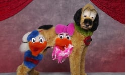 人家不是長這樣吧？失控的迪士尼角色NG版    迪士尼、崩壞、失控、高飛、人偶