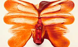 看畫測驗心理狀態  Esther Lobo仿羅夏克測驗畫作 Esther Lobo、羅夏克測驗、心理、攝影師、藝術