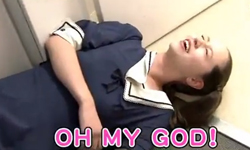 恐龍復活了？暴龍現身日本整人節目 暴龍、侏儸紀公園、整人節目、日本、內藤大助、齊藤慎二、KABA