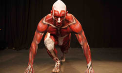 進擊的巨人現身？澳洲解剖學教授找帥哥當真人模型 解剖、進擊的巨人、澳洲、解剖學、人體、模型