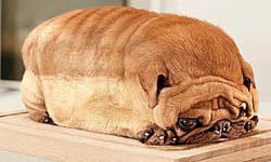 巴哥超級比一比！意外跟巴哥相像的十個東西    巴哥、超級比一比、PK、萌、表情