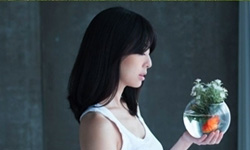 文青就是腳勤：多看表演釋放一下情緒吧！ 偶偶偶劇團2013全省巡迴、節慶爵士 915、這裡那裡、2013鄭成河、藝術